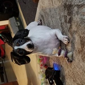 Meet your Posher, Lauralee